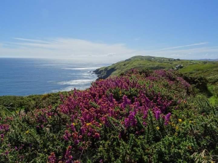 Escape To The Beara Peninsula. Appartement Castletownbere Buitenkant foto